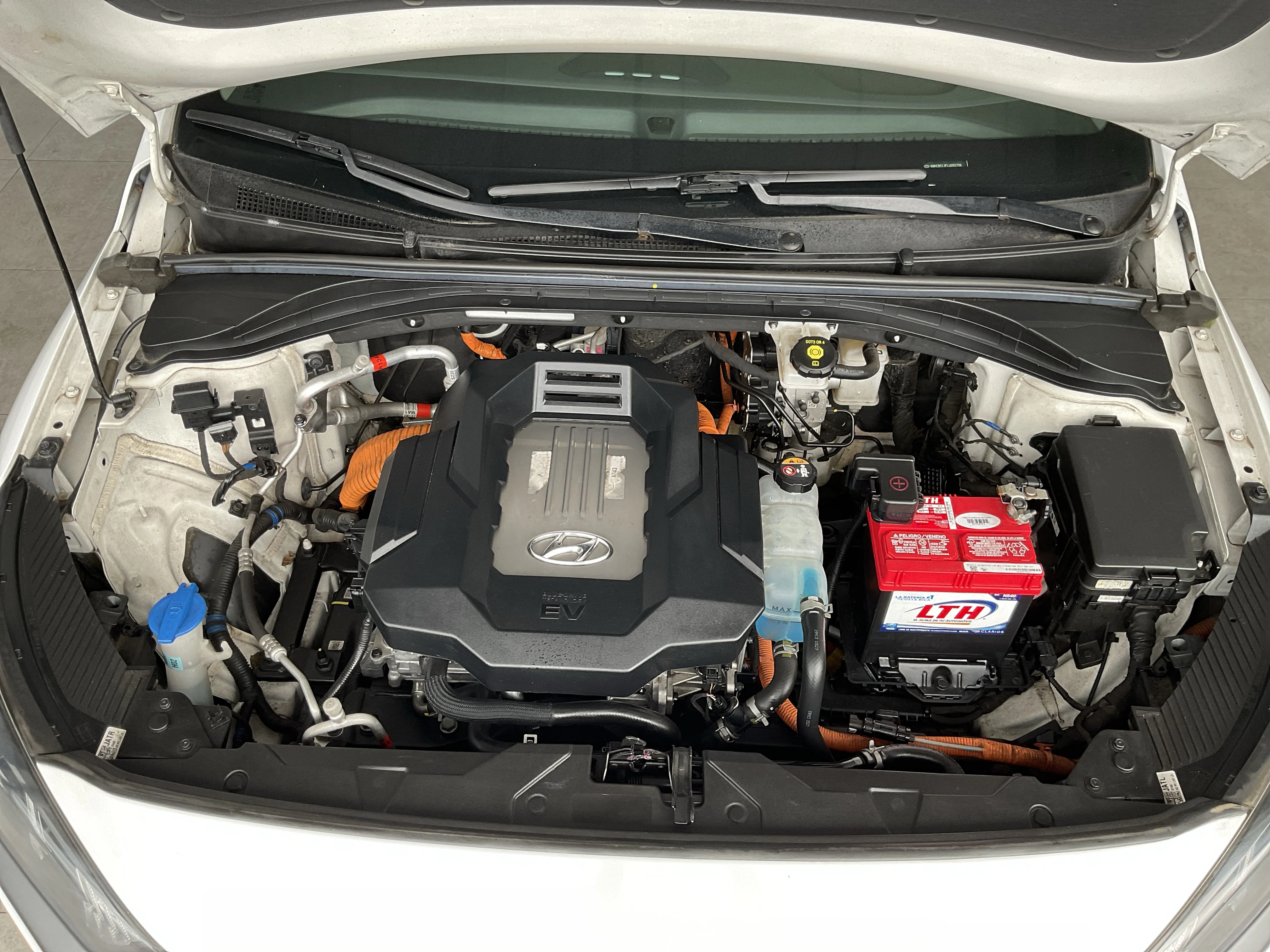 Interior 6