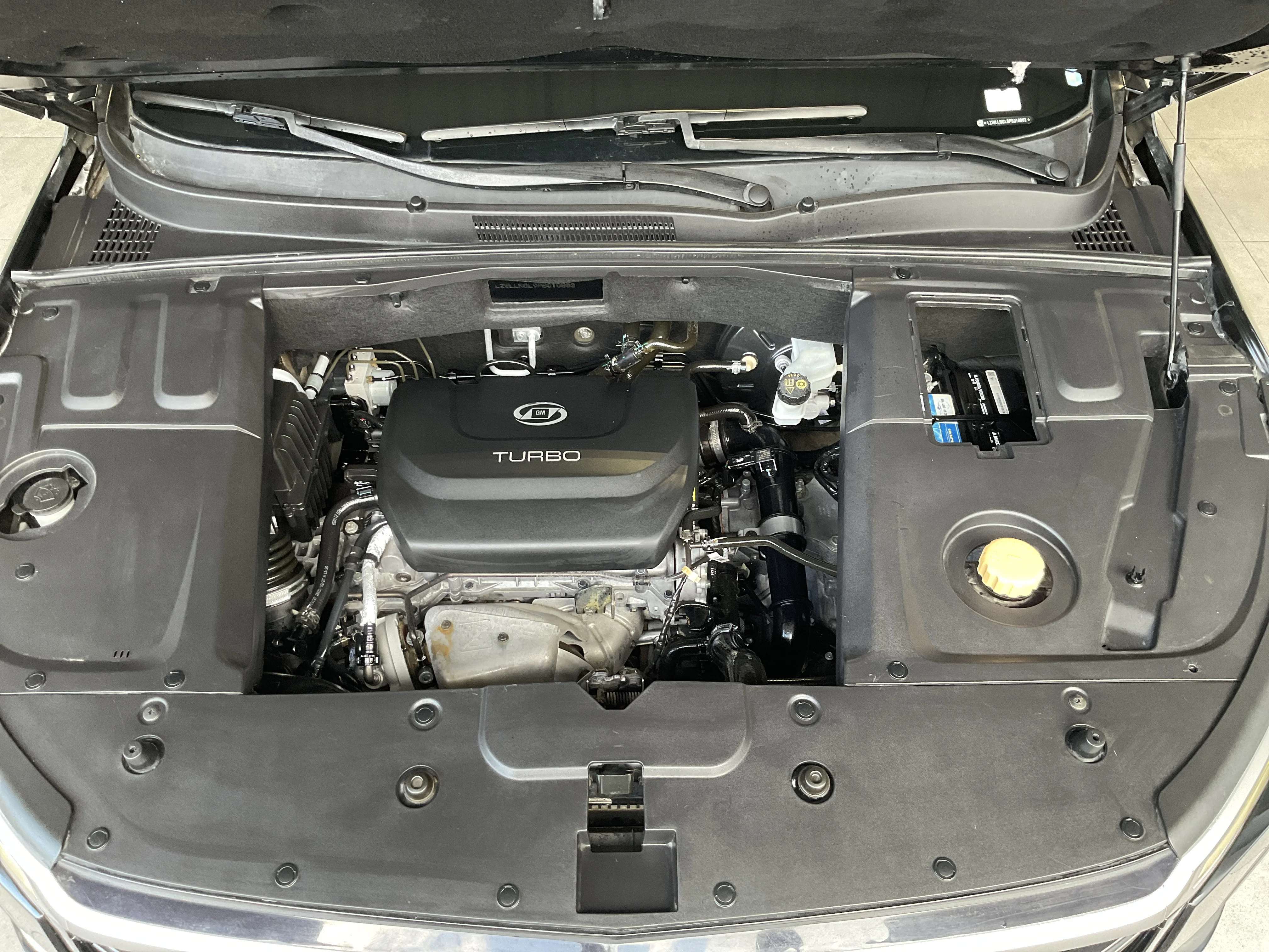 Interior 6